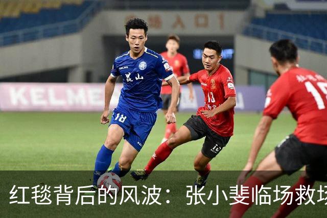 红毯背后的风波：张小斐临场救场，蔡文静无辜被卷入